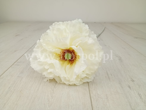 mak - łodyga 1szt cream (FMN1012)   B1332026B