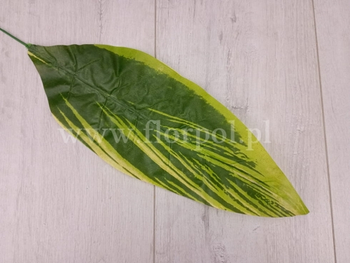 17438ae4e41caba7a6fbec5f124866e4