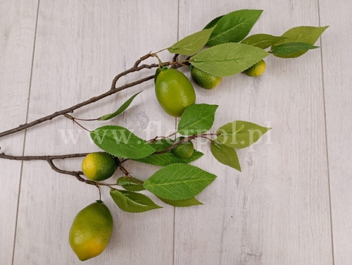 sztuczne limonki na gałązce 1szt zielony (ART20154)   B1132026B 