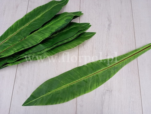 szeroki liść bananowca 12szt odc.zieleni