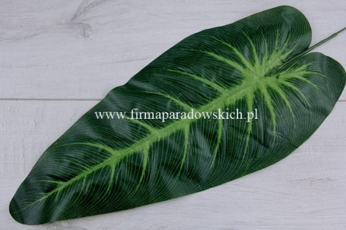 liść strzałka – jasnozielone ości 12szt ciemny zielony 