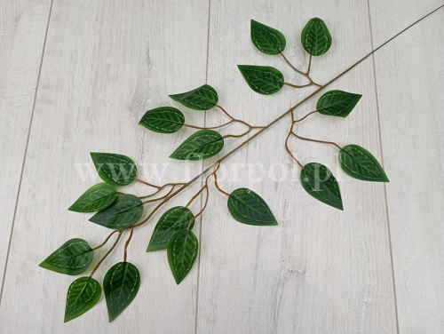 80ca3a30cd683deca967c0a84ff5a74e