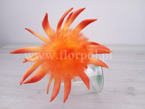 protea - pianka 1szt  j.pomarańcz (997-018-M4)