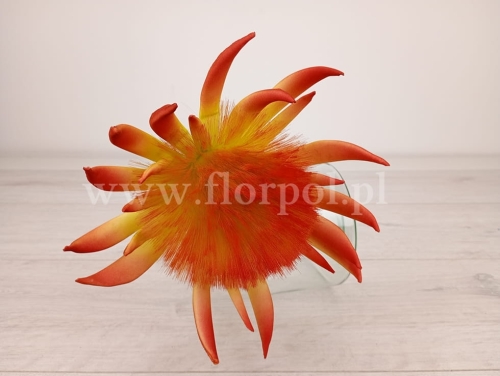 protea - pianka 1szt  zieleń/blada czerwień (997-018-M4)