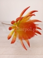 piankowy kwiat 7076.jpg