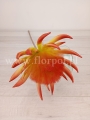 piankowy kwiat 7078.jpg