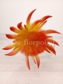 piankowy kwiat 7079.jpg