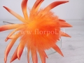 piankowy kwiat 7065.jpg