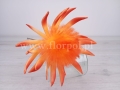 piankowy kwiat 7063.jpg