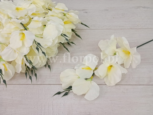 mieczyk gałązka 55cm pakowany 12szt ecru (K327N-05)