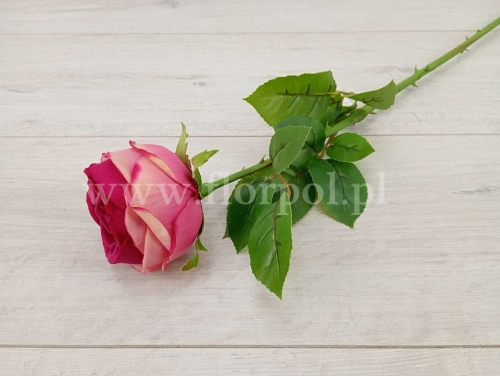 florpol.pl 7171.jpg