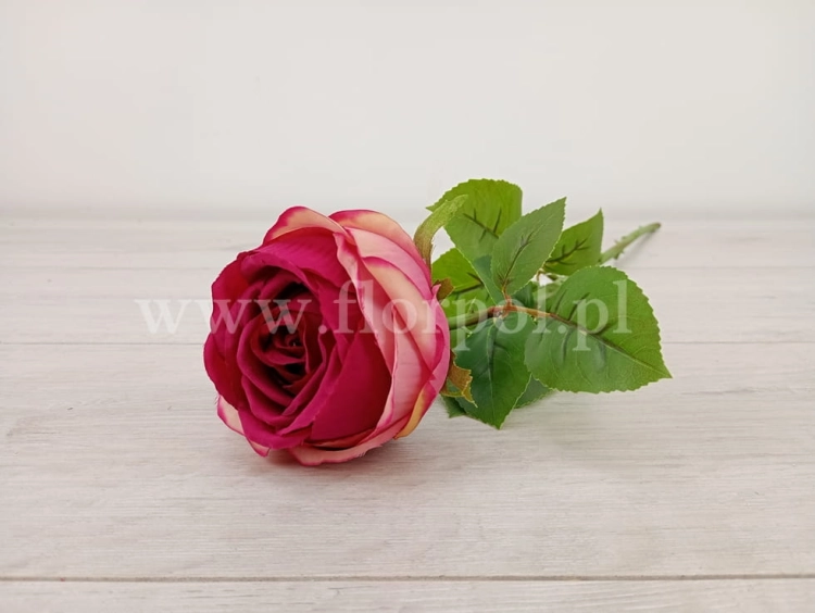 florpol.pl 7172.jpg