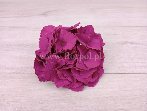 hortensja mikropicz  1szt #5 magenta (FME074680)