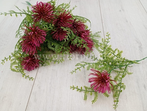 osty w paproci - dodatek 12szt buraczek (YY/P029)