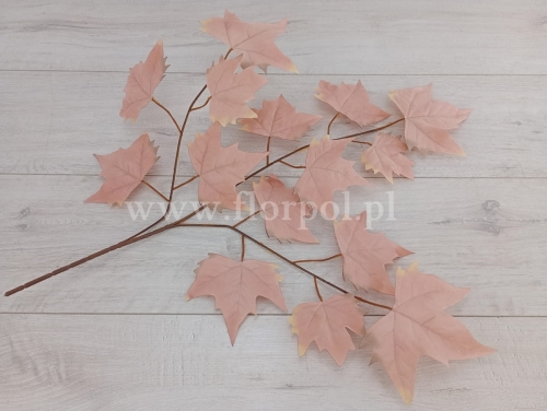 gałąź - liście klonu 12szt 11 cielisty/cieniowanie ecru i szarego (NO1)