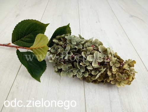 0ea7b009ee6a5692f0ce06891bc314d4