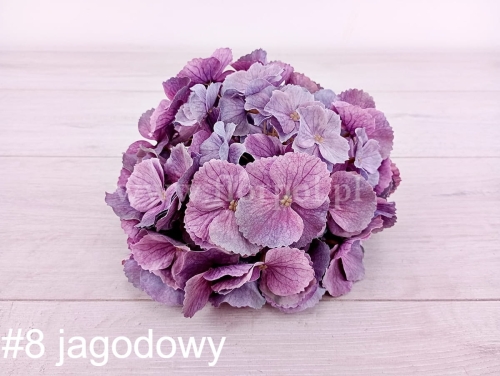 hortensja cieniowana duża 1szt #8 jagodowy  (1AUT)(CHQ01)