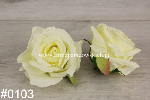 4ec3e9aef16471cd6fcaa0572c1e55b9