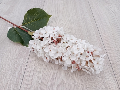 6636e84fc6102452dd3e39b0241bdacd