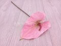 6f30bc99a9033a31db3ecc76a4f5de52