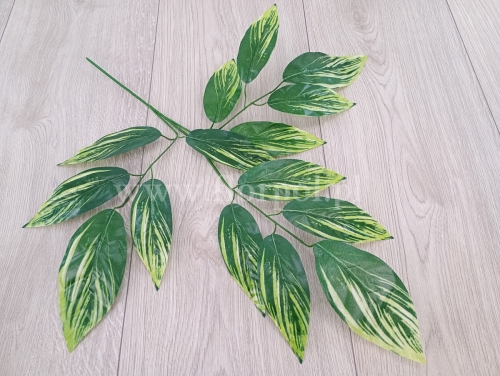 sztuczna gałąż mango 12szt   smugi zielony/j.zielony (B3/15) 