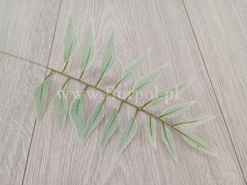 liść sumaka - cerata 12szt miętowy (T202-24-2002)