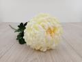 4a26396a79fa8064de4fc7b82411485e