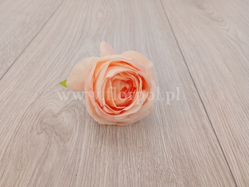 88f69fbde4b2a25be45606dec72a0813