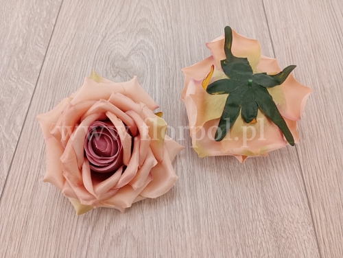 główka róży XL  6szt  jasna morela/środek br.róż/zielony cień (050072H)