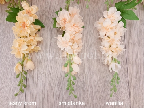 ostróżka niska 12szt śmietanka (LYB051)