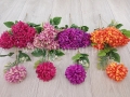 3fdc3bbeec79dbe1a830d7e3e260ff5e