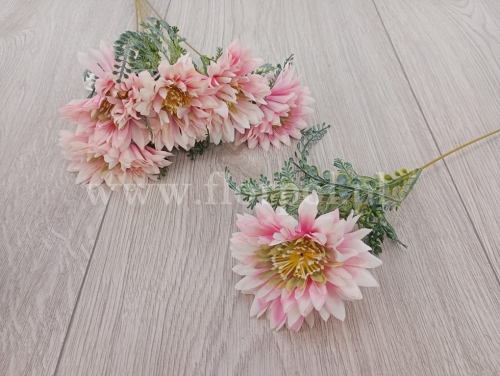 chryzantema otwarta i paprotnik - dodatek 6szt róż/ecru (KWO3328)