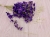 842254fc4827c008c298f1e12580d236