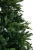fresh_green_ 3.jpg