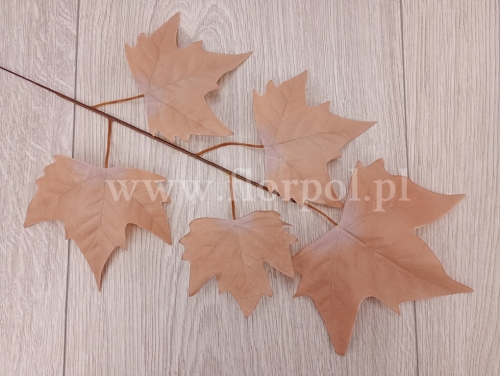 63adbfe0c2275b48ec661d7b189707d6