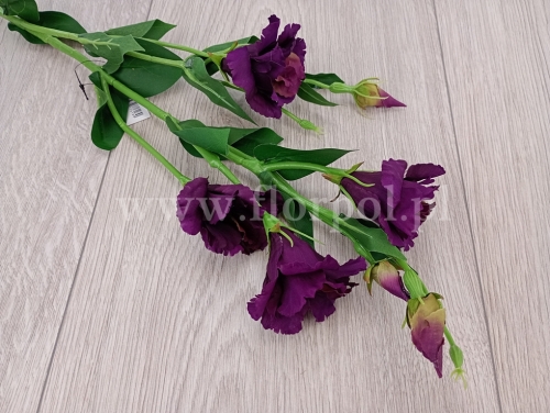 90ac09a61a95bac1dfc6957f4c351e3d