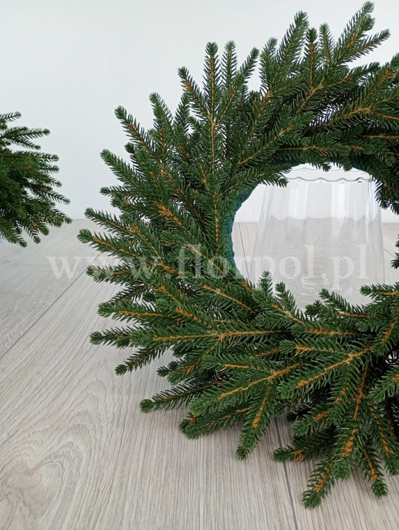 świerk natura 17.jpg