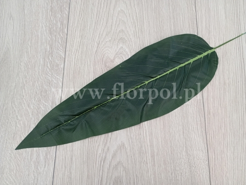 liśc bananowiec 12szt c.zieleń