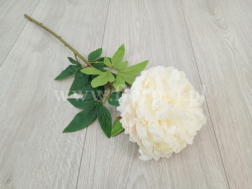 olbrzymia peonia otwarta - silikon 1szt white (REN2008)