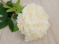 hurtownia_florystyczna_ 9337.jpg