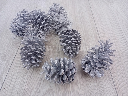 5101428f449ceec18cdd345037b304d9