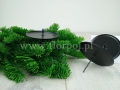 florpol.pl 2784.jpg