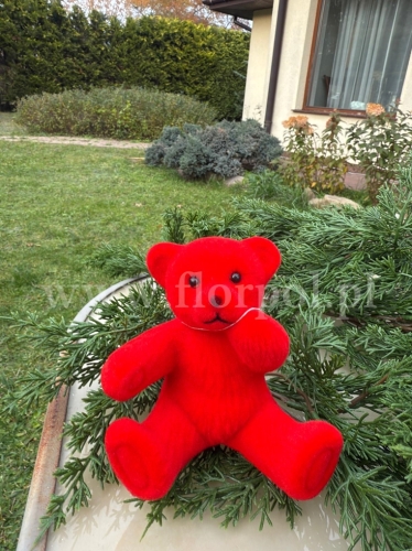 welurowy miś 1szt czerwony (BNPK-3-04637-25)