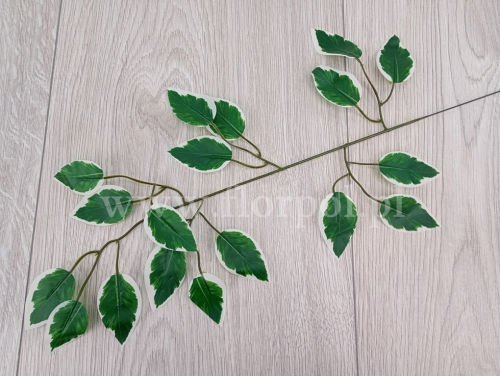 gałązka liście beniamina h 60cm 12szt zielony/biały (L218-2)