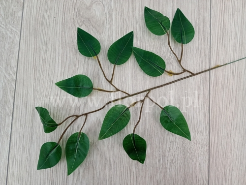 gałązka liście beniamina h 45cm 12szt ciemna zieleń (L212-1)