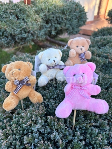 welurowy miś na piku 12szt mix (H2504538)