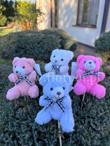 pluszowy miś na piku 12szt mix (H2504536)