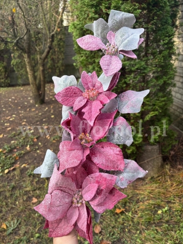 poinsecja oszroniona na łodydze 1szt red snow (EV351)