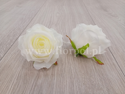 róża wyrobowa 12szt waniliowy (ROA)