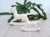 florpol.pl 10178.jpg
